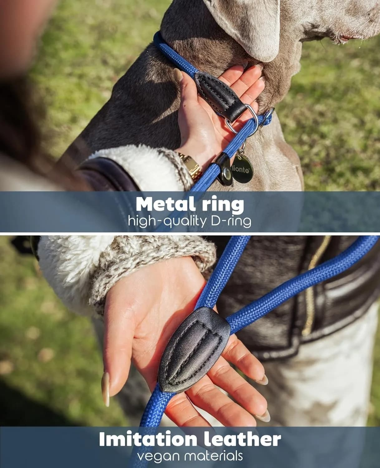 lionto Retriever leash robust and weatherproof for dogs 170cm