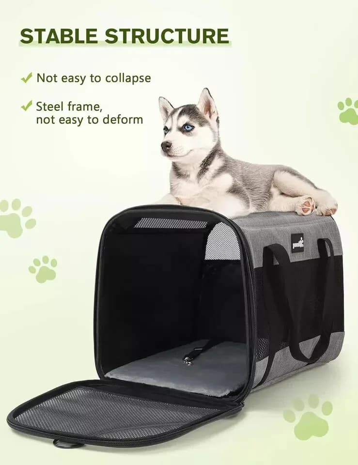 Pecute Pet Carrier Bag, Cat Carrier Handbag, Portable Dog Travel Bag Upto 4KG